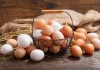 Dollar Tree To Stop Selling Eggs