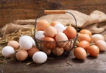 Dollar Tree To Stop Selling Eggs