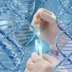 New DNA Advances Finally Lead to Major 9/11 Identification Milestones