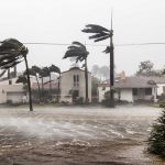 trees blowing in hurricane force winds
