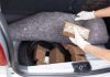 Person removing packages from car trunk.