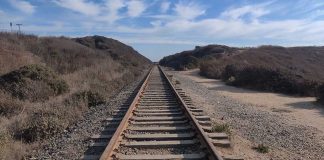 Railway tracks stretching into the distance surrounded by vegetation