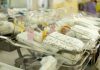 Newborn babies in a hospital nursery
