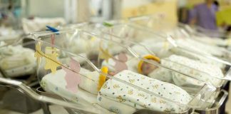 Newborn babies in a hospital nursery