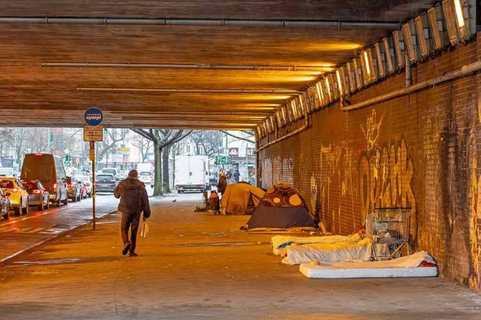 2423598655 People walk under a bridge with homeless encampment