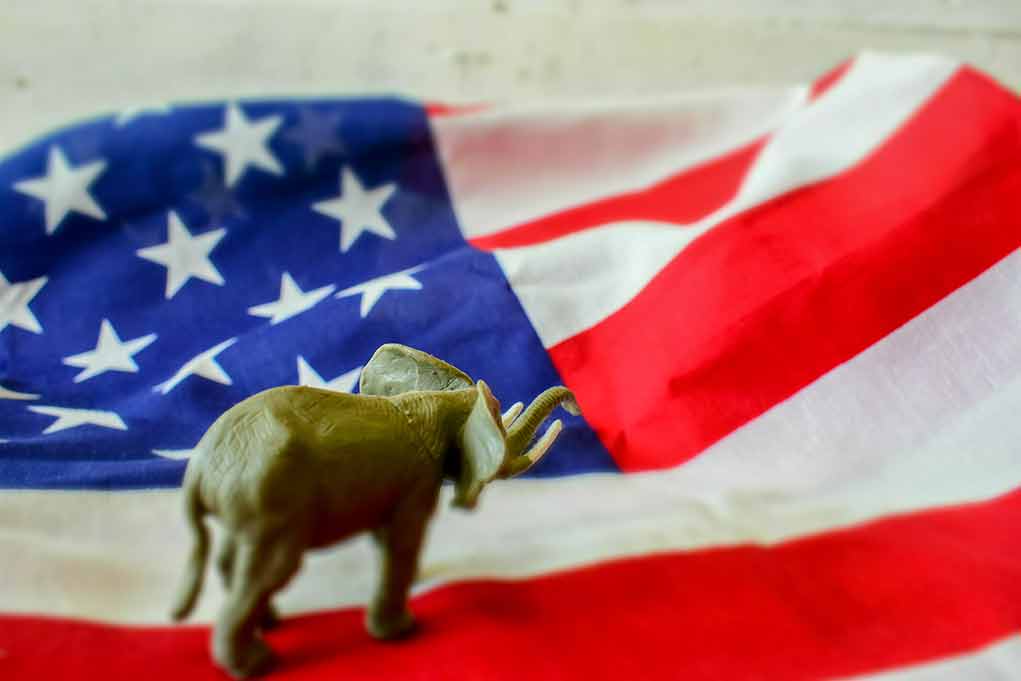 1814479316 featured image Elephant figurine on the American flag background