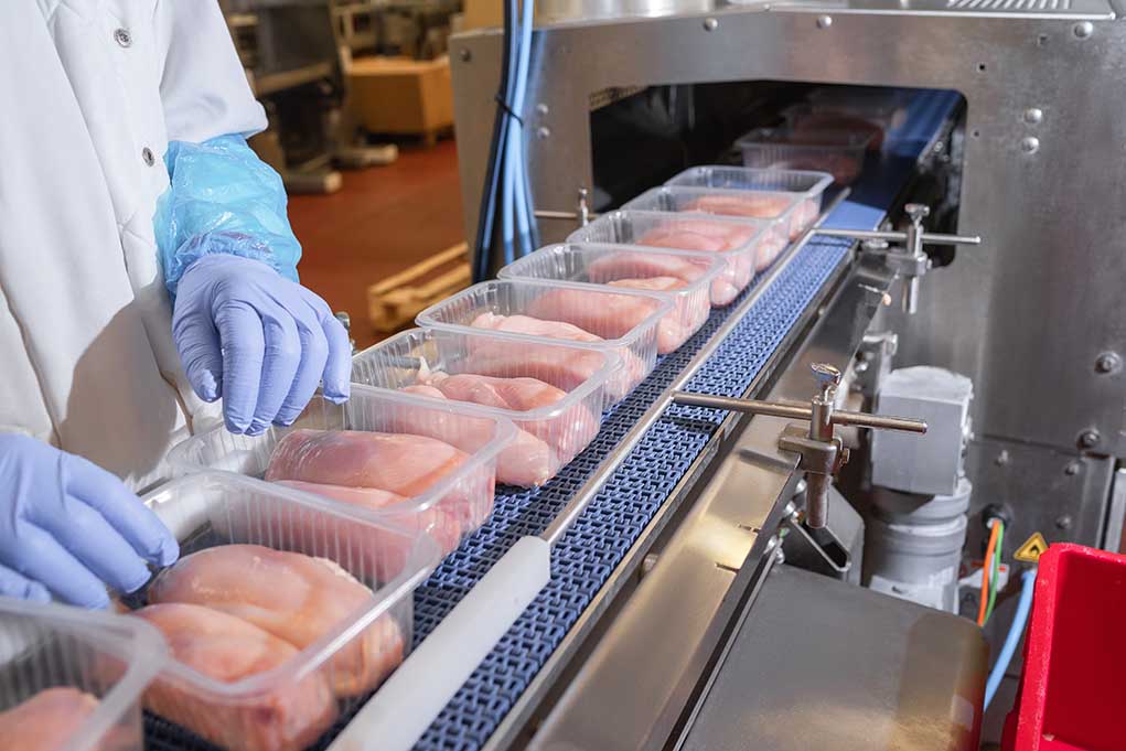 1919119322 featured image Packaged chicken breasts on a factory conveyor belt.