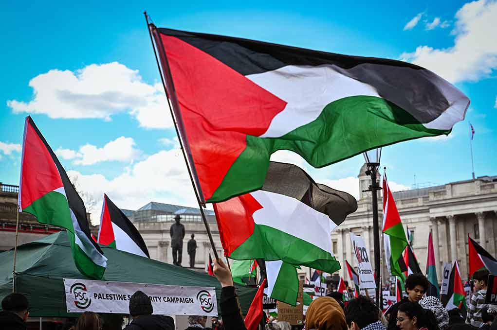 2454541001 featured image Palestine flags being raised by protestors