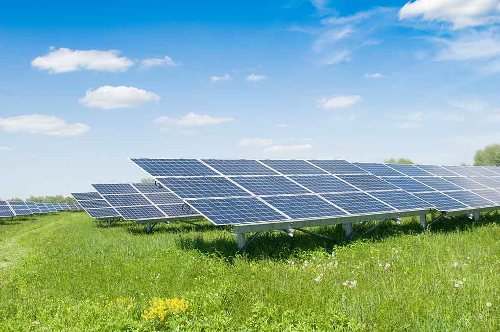 1909802176. featured image Solar panels in a grassy field under blue sky.