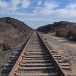 Railway tracks stretching into the distance surrounded by vegetation