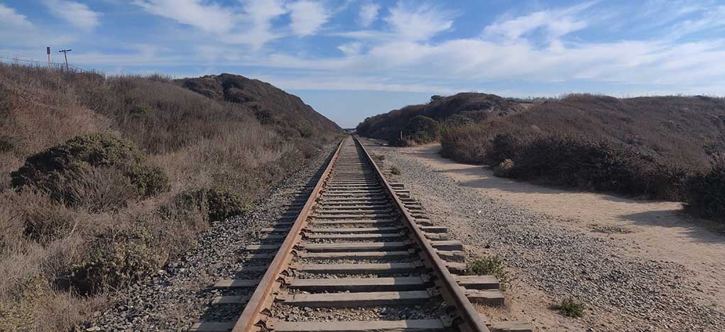 Railway tracks stretching into the distance surrounded by vegetation