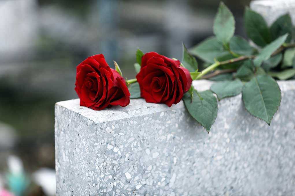 1622846017 Two red roses on a grave.
