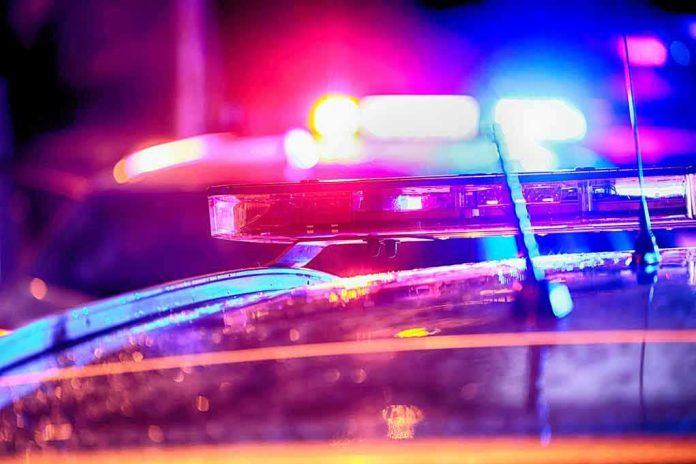 2304350799 Police car lights flashing at night.