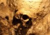 Ancient Discovery STUNS Archaeologists—Older Than Stonehenge! A skull embedded in a rocky surface, illuminated with warm lighting