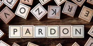 Wooden letter blocks arranged to spell 'PARDON' on a wooden surface