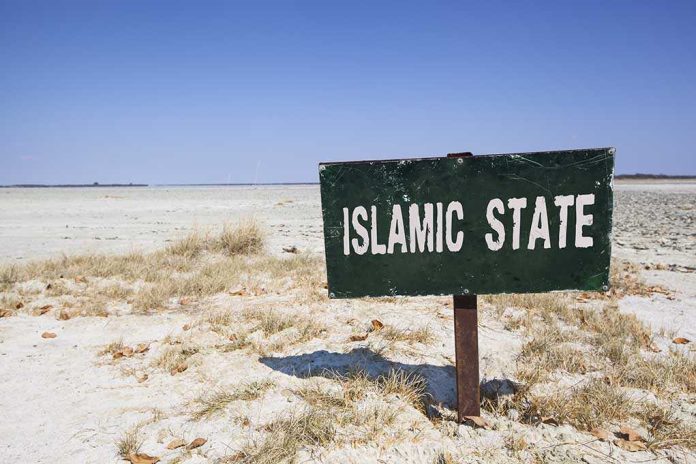 A weathered sign reading 'ISLAMIC STATE' in a barren landscape