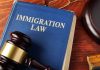 Blue immigration law book with wooden gavel.