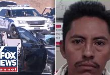 ICE Chase KILLS Beloved Teacher - Illegals Wife Speaks Out