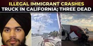 Illegal Trucker KILLS Four - Biden App Blamed