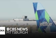 Airline Grounds EVERY Flight After Severe Glitch