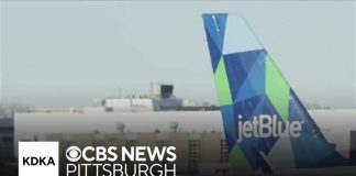 Airline Grounds EVERY Flight After Severe Glitch