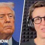 Trump Removal Plot EXPOSED - Dangerous 25th Amendment Play