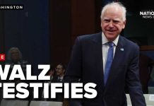 Walz STUMBLES Through Fraud Hearing - Watch What Happened