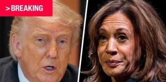 Stunning Voter Loss: 6.8 Million Disappear! BREAKING: Democrats release incomplete autopsy report on 2024 election loss