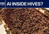 AI beehives deployed in Pasco County to protect local food supply