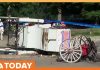 Calls Grow to Ban Horse-Drawn Carriages in NYC After Teen Dies