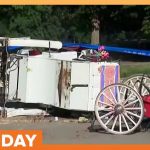 Calls Grow to Ban Horse-Drawn Carriages in NYC After Teen Dies