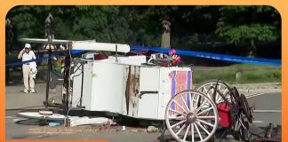 Central Park Horror Triggers Ban Blitz Calls Grow to Ban Horse-Drawn Carriages in NYC After Teen Dies