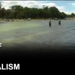 Trump says proof that vandals cut Reflecting Pool will be provided in court