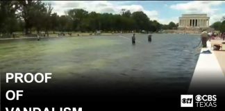Trump says proof that vandals cut Reflecting Pool will be provided in court