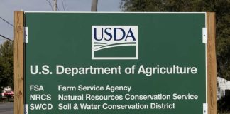 Sign for the U.S. Department of Agriculture listing various services