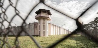 Animal Weapons In Prisons — What’s Next? Prison watchtower behind chain-link fence