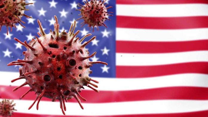 shutterstock_2314013327 Illustration of virus particles in front of the American flag
