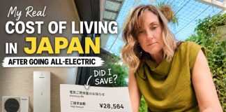 Japan Electricity Prices: Is All Denka Worth It?