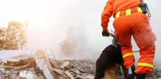 California Hit By Relentless Earthquake Swarm rescue worker with dog searching rubble