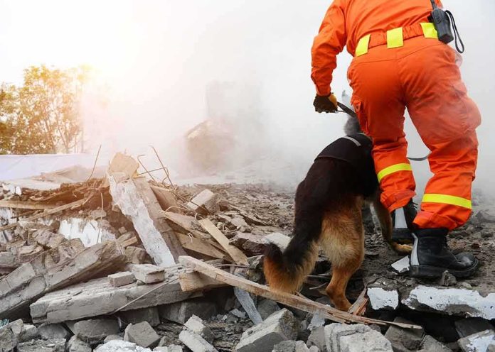 rescue worker with dog searching rubble