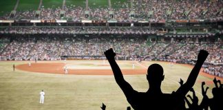 Minor League Masterclass: Cat Beats The Algorithm Crowd of fans cheering at a baseball game in a stadium