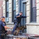Bodycam Bombshell From Deadly SWAT Raid Police officers with a K9 at an apartment entrance