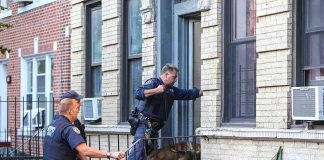 Bodycam Bombshell From Deadly SWAT Raid Police officers with a K9 at an apartment entrance