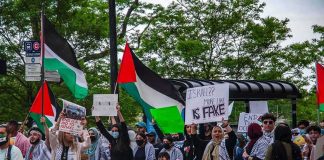 Wang Ying among protesters holding Palestinian flags and signs at a street demonstration